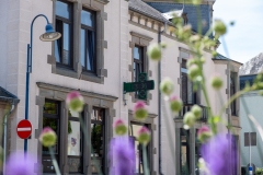 PHARMACIE_DE_REDANGE_960-145